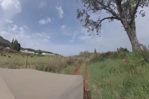 Madeira: Jeep-tur i det nordvestlige Madeira