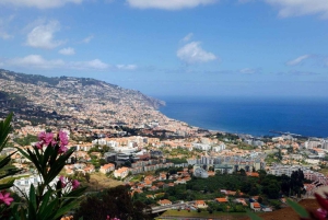 Madeira: Nunnien laakso ja Câmara de Lobos puolipäiväinen retki