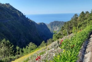 Madeira: Nun's Valley Private Tour