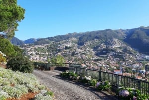 Madeira: Nun's Valley Private Tour