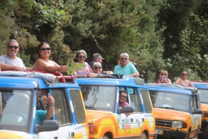 Madeira : Nun's Valleys and Pico Areeiro 4X4 Tour