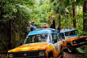 Madeira : Nun's Valleys and Pico Areeiro 4X4 Tour