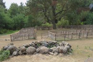 Madeira : Nunnedalarna och Pico Areeiro 4X4-tur