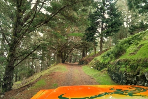 Madeira : Nunnedalarna och Pico Areeiro 4X4-tur