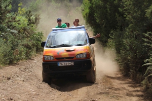 Madeira : Nunnedalarna och Pico Areeiro 4X4-tur