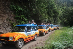 Madeira : Nunnedalarna och Pico Areeiro 4X4-tur