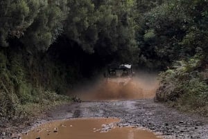 Madeira: Buggy Adventure - Epic Off-Road Experience