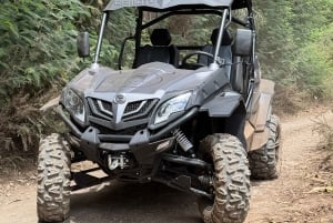 Madeira: Buggy Adventure - Epic Off-Road Experience