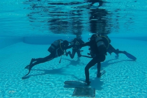 Madeira: Open Water Diver First-sertifiseringskurs