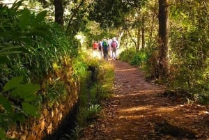 Madeira: Paradise Valley Levada Walk