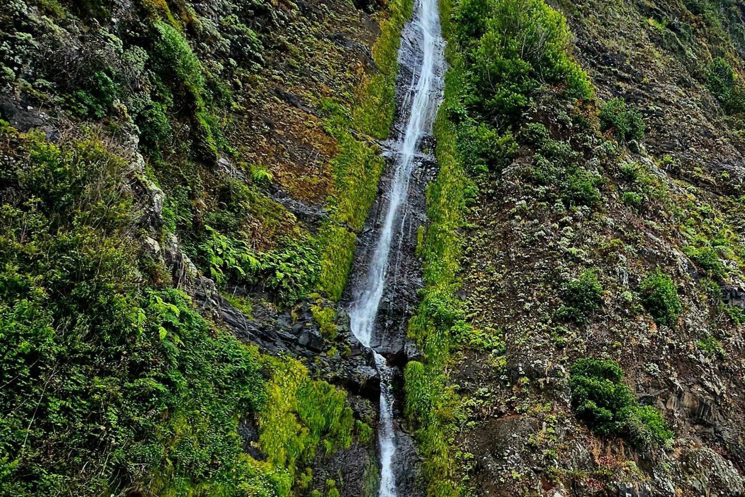 Madeira: heldagstur i den østlige del af Madeira