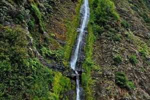 Madeira: full-day tour of eastern Madeira