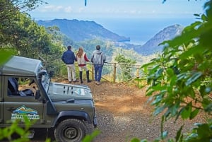 Madeira: Pico Arieiro Sunrise Private Jeep Tour