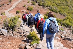 Madeira: Pico Arieiro to Pico Ruivo Hike