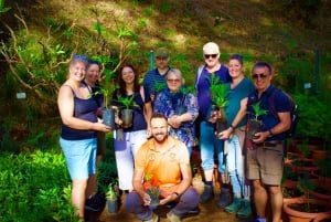 Madeira: ARIEIRO PEAK, SANTANA, PONTA SÃO LOURENÇO JEEP TOUR