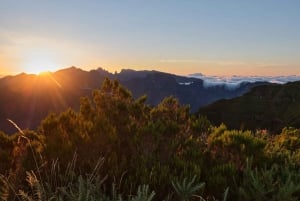 Madeira: Pico do Areeiro Sunrise Experience