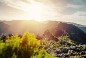 Madeira: Pico do Areeiro Sunrise Experience