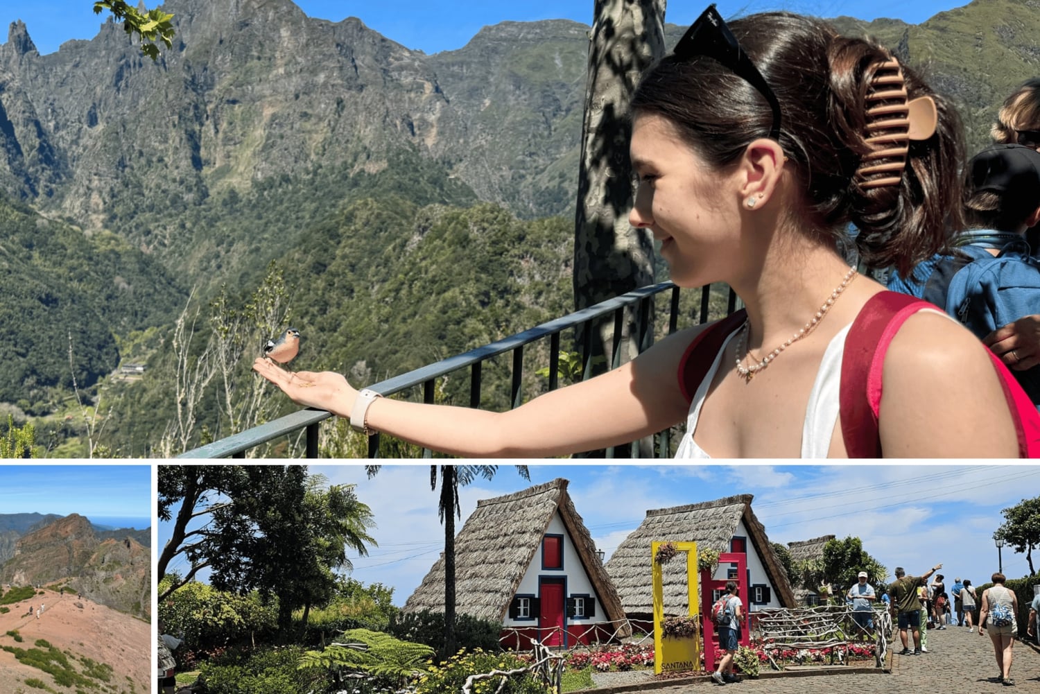 Madeira: Pico do Arieiro e Foresta Laurissilva - Tour dell'est