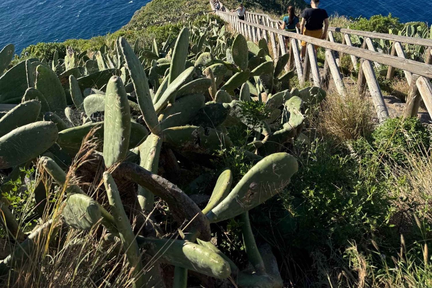 Madeira: Pico do Arieiro e Foresta Laurissilva - Tour dell'est