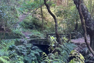 Madeira: Pico do Arieiro e Foresta Laurissilva - Tour dell'est