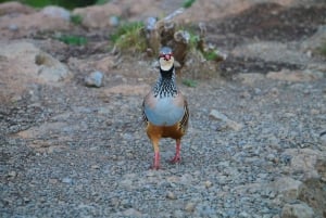 Madeira: Pico do Arieiro to Pico Ruivo Guided Hike