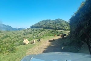 Madère : Excursion privée en Jeep 4x4 dans les pics pittoresques et Skywalk