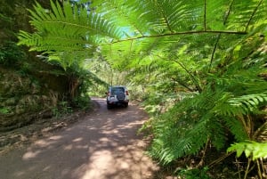 Madère : Excursion privée en Jeep 4x4 dans les pics pittoresques et Skywalk