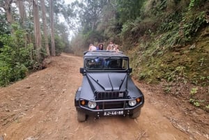 Madère : Excursion privée en Jeep 4x4 dans les pics pittoresques et Skywalk