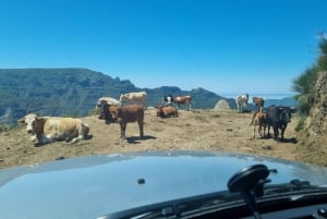 Madère : Excursion privée en Jeep 4x4 dans les pics pittoresques et Skywalk