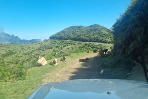 Madeira: Picturesque Peaks and Skywalk private 4x4 Jeep tour
