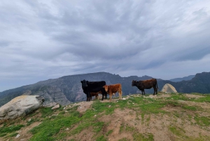 Madeira: Picturesque Peaks and Skywalk private 4x4 Jeep tour