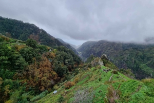 Madeira: Picturesque Peaks and Skywalk private 4x4 Jeep tour