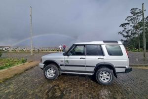 Madeira: Picturesque Peaks and Skywalk private 4x4 Jeep tour