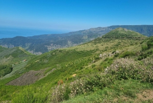 Madeira: Picturesque Peaks and Skywalk private 4x4 Jeep tour