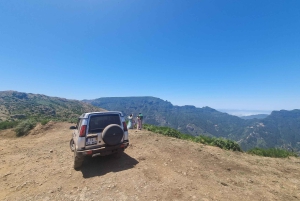 Madeira: Picturesque Peaks and Skywalk private 4x4 Jeep tour