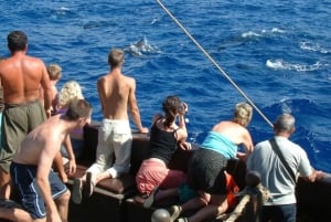 Madeira Pirate Ship: 3-Hour Boat Trip