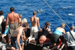 Madeira Piratskip: 3-timers båttur