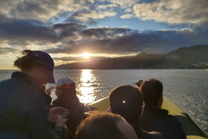 Madera: rejs wycieczkowy łodzią do latarni morskiej Ponta de São Lourenço