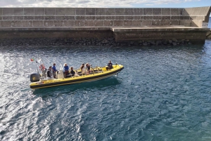Madera: rejs wycieczkowy łodzią do latarni morskiej Ponta de São Lourenço