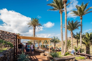 Madera: rejs wycieczkowy łodzią do latarni morskiej Ponta de São Lourenço