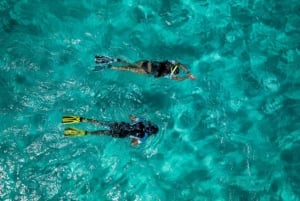 Madeira: Ponta de São Lourenço Snorkeling Boat trip