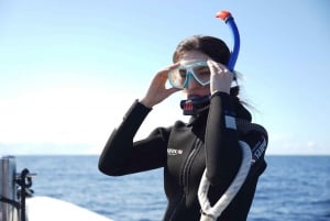 Madeira: Ponta de São Lourenço Snorkeling Boat trip