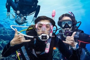 Madeira, Ponta São Lourenço: Scuba Diving for Beginners