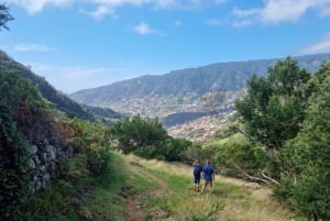 Madeira: Porto da Cruz to Machico Hiking Tour with Transfer