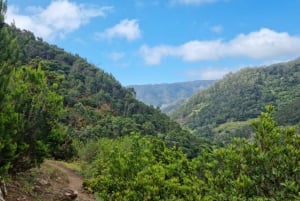 Madeira: Porto da Cruz to Machico Hiking Tour with Transfer