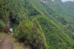 Madeira: Porto da Cruz to Machico Hiking Tour with Transfer