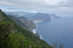 Madeira: Porto da Cruz to Machico Hiking Tour with Transfer