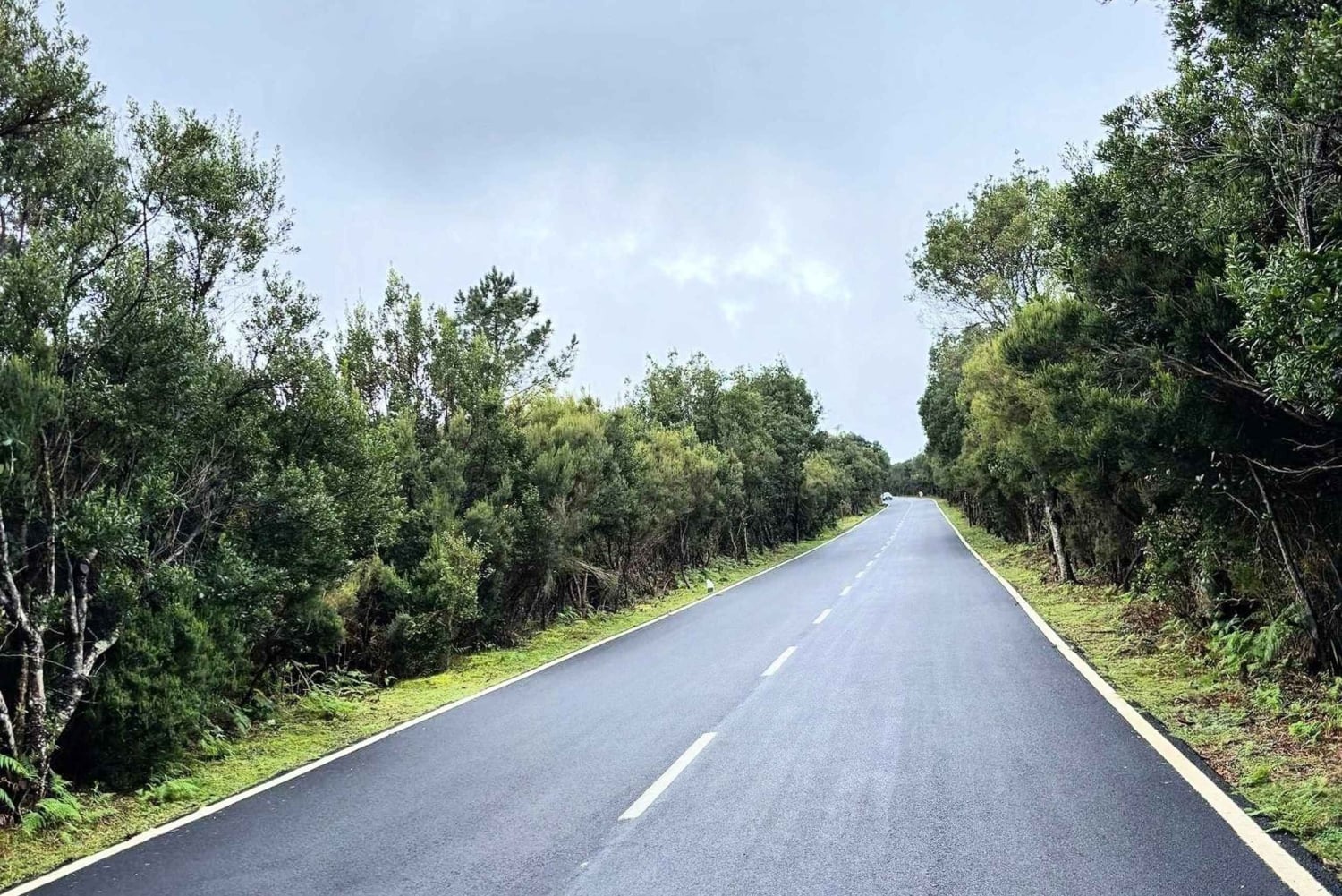 Madeira: Porto Moniz: Wild West Tour: In 4*4 car: Duration 7.5h