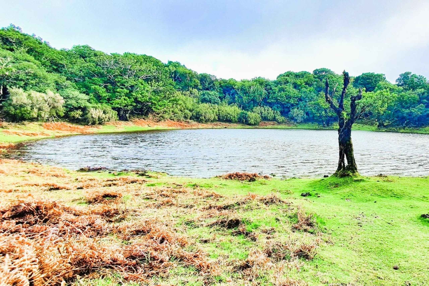 Madeira: Porto Moniz: Wild West Tour: In 4*4 car: Duration 7.5h