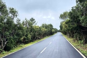 Madeira: Porto Moniz: Wild West Tour: In 4*4 car: Duration 7.5h